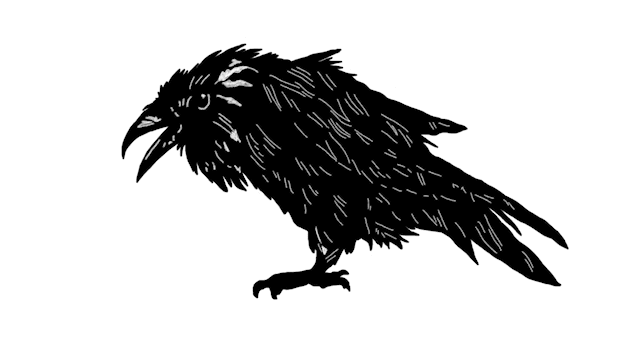 crow_still_AdobeExpress